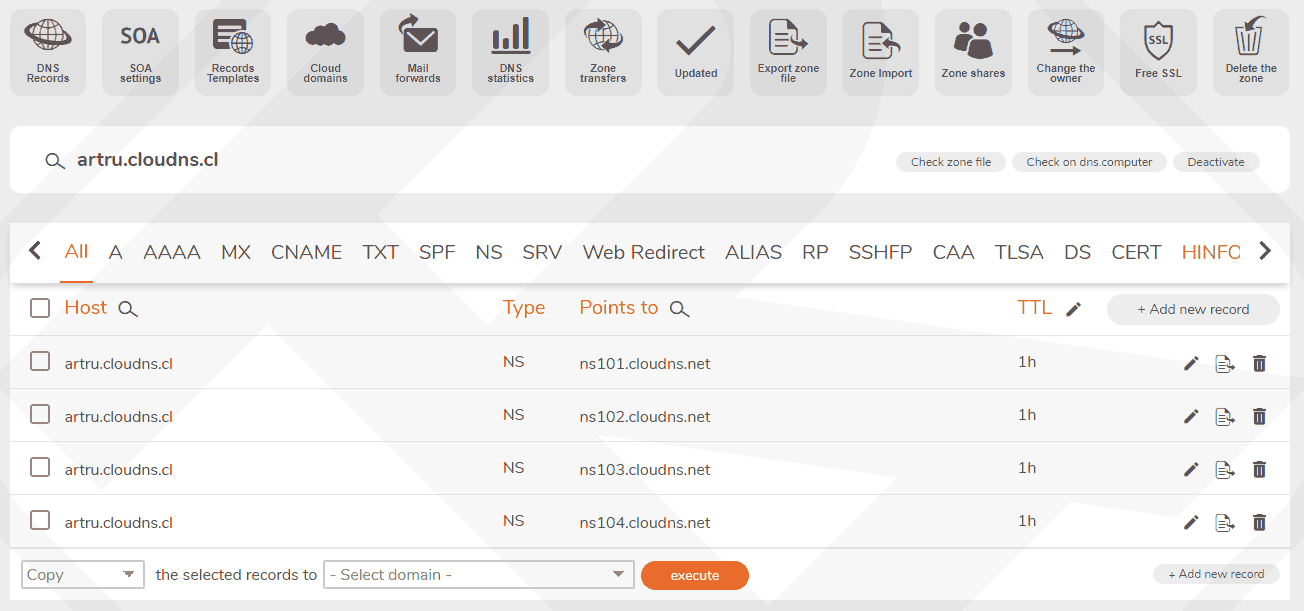 DNS record Cloudns