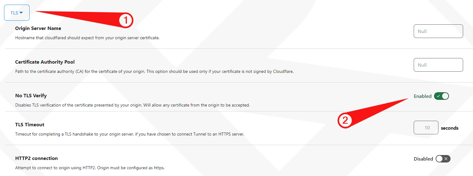 无 TLS 验证隧道 Cloudflare