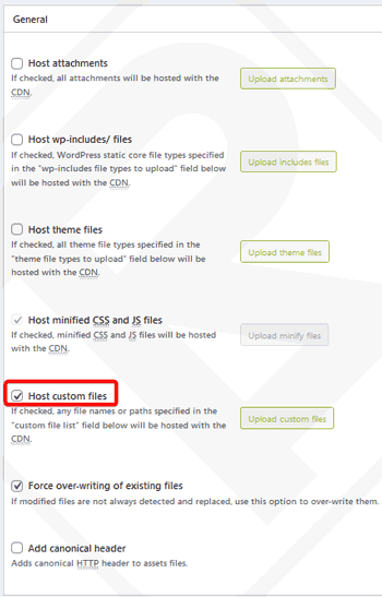 Host custom files CDN W3 Total Cache
